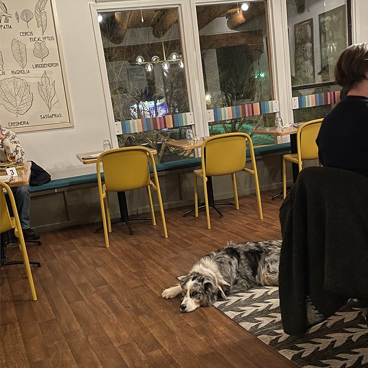 Corner Office
