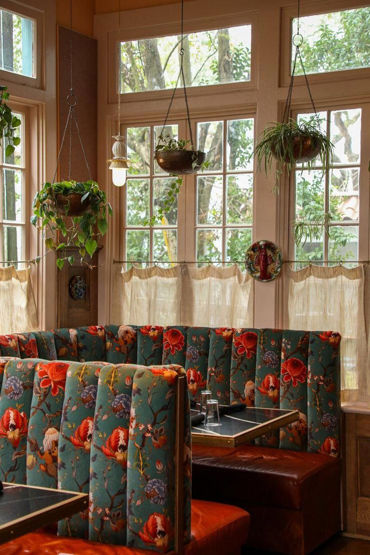 Chloe restaurant in Washington DC, United States