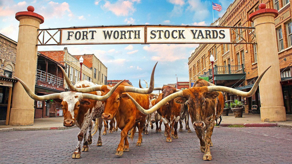 Glo Noodle House, Restaurant in Denver