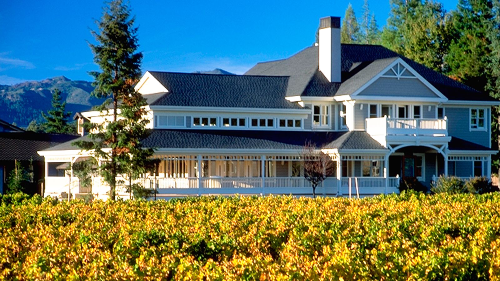 Duckhorn Vineyards winery in Napa, United States