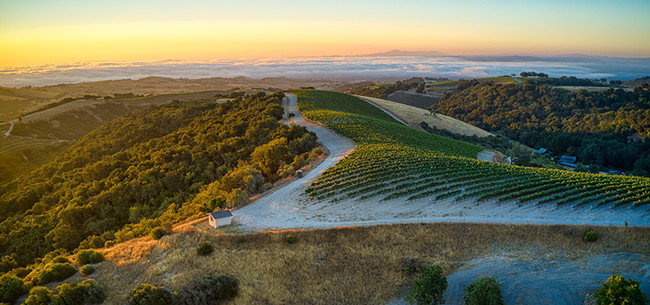 Adelaida Vineyards winery in Paso Robles, United States