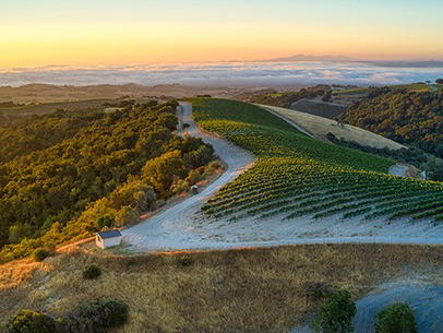 Adelaida Vineyards, Paso Robles, United States