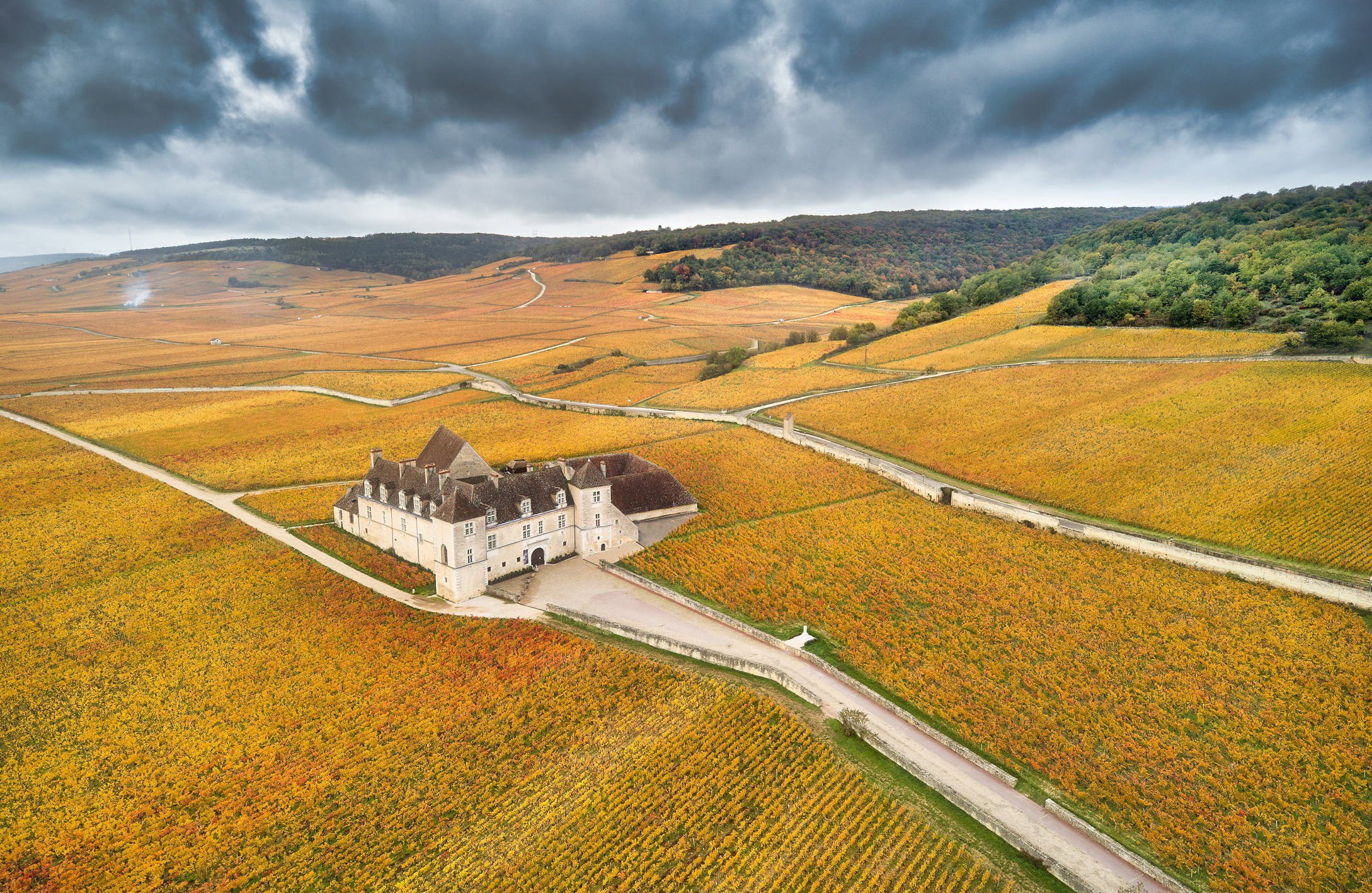 Maison Joseph Drouhin, Beaune, France