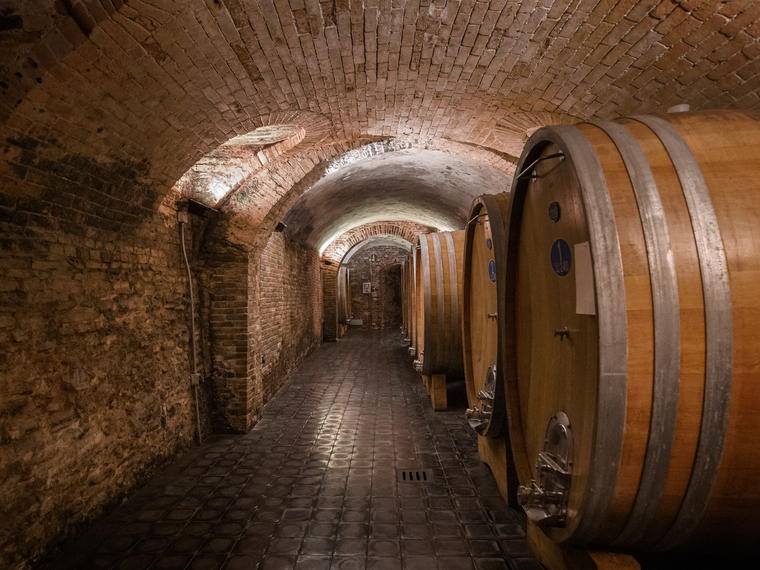 Gaja, Barbaresco, Italy
