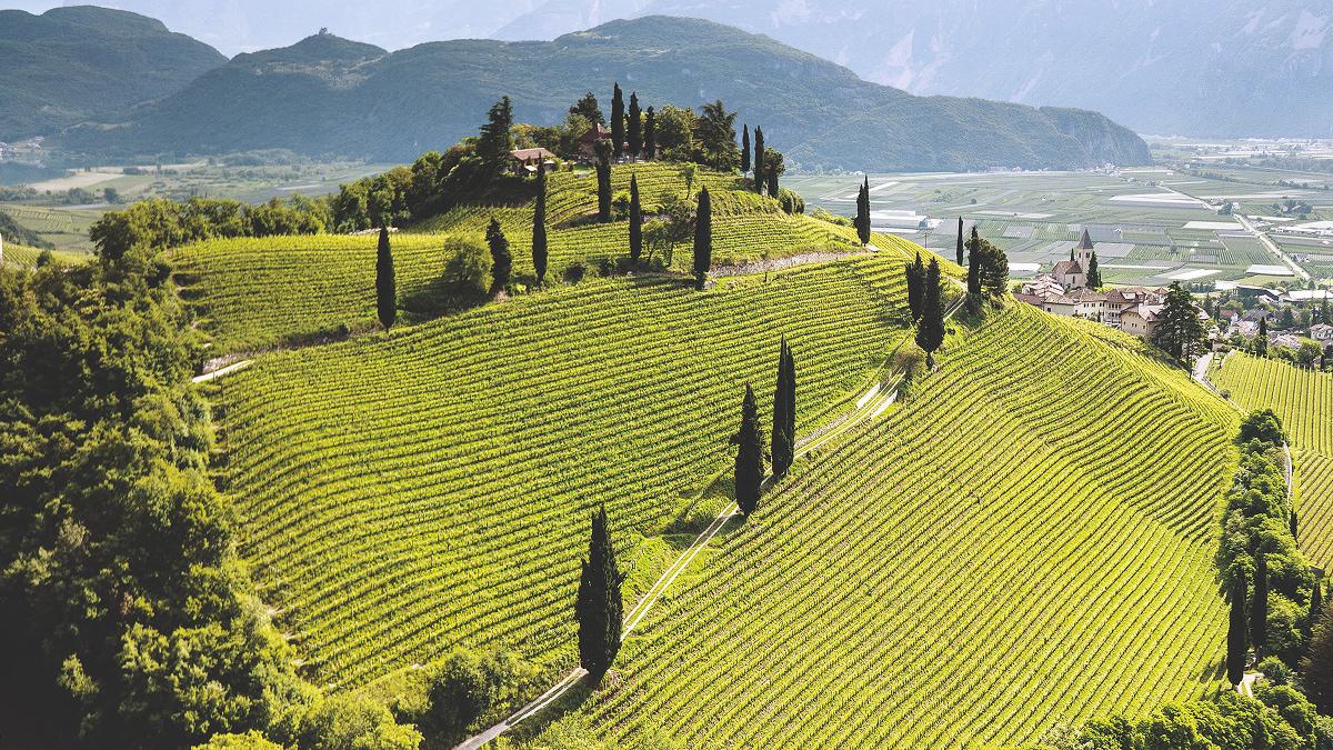 Gaja winery in Barbaresco, Italy
