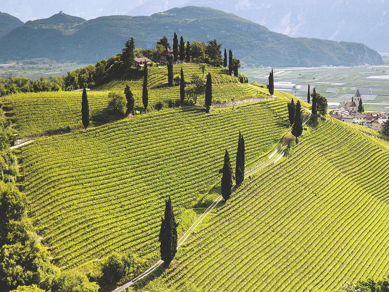 Gaja, Barbaresco, Italy