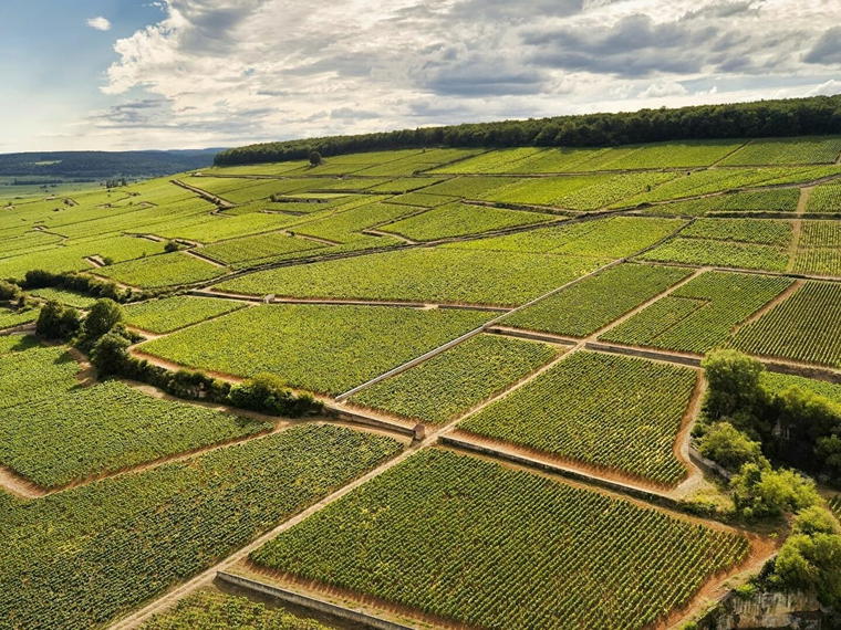 Domaine Taupenot-Merme, Morey-Saint-Denis, France