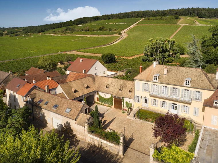 Domaine Taupenot-Merme, Morey-Saint-Denis, France