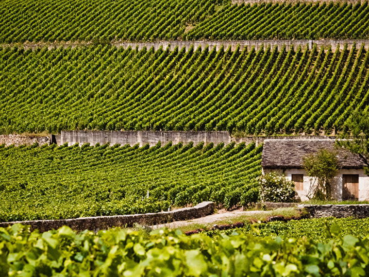 Domaine Bouchard Père et Fils, Beaune, France