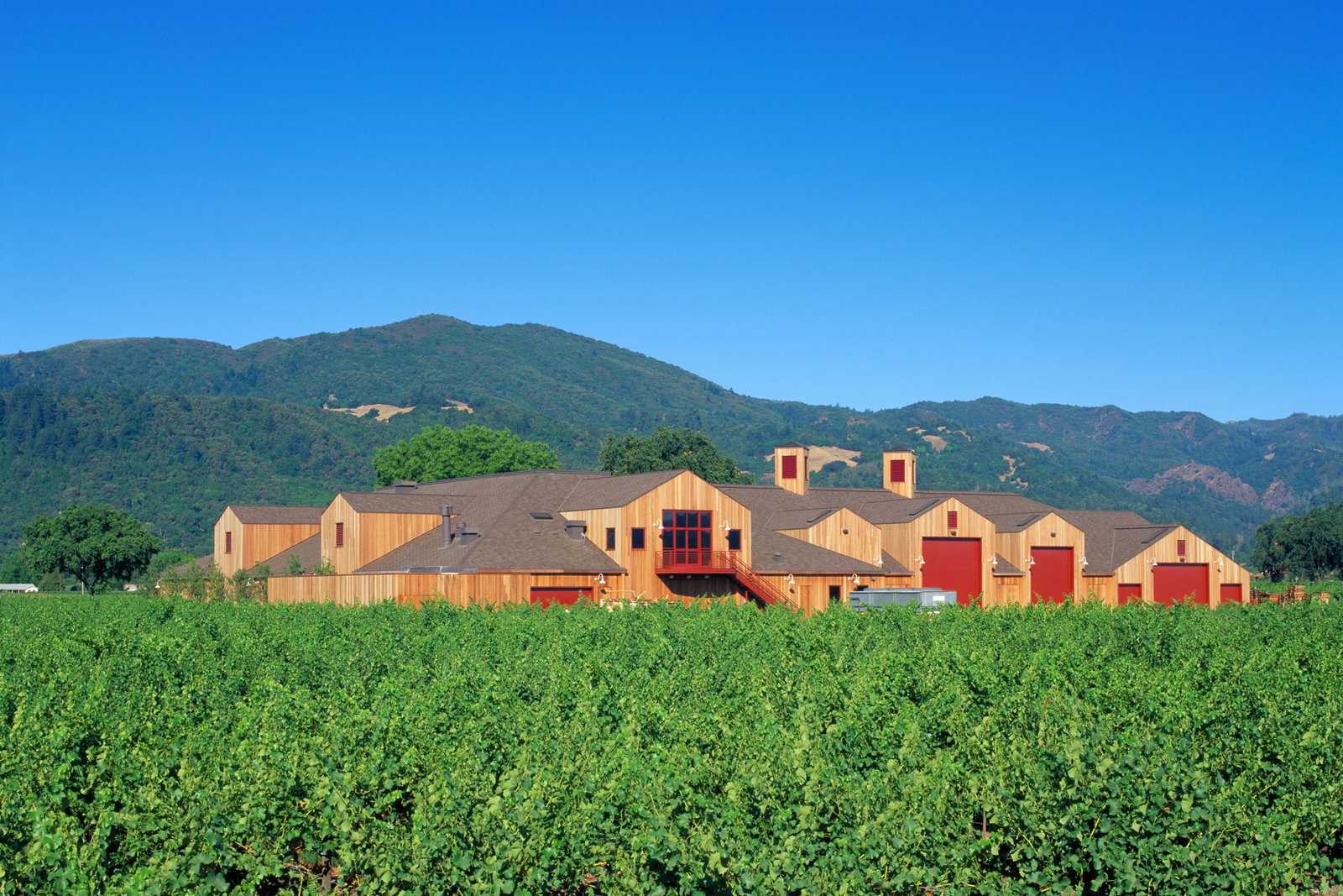 Cakebread Cellars, Rutherford, United States