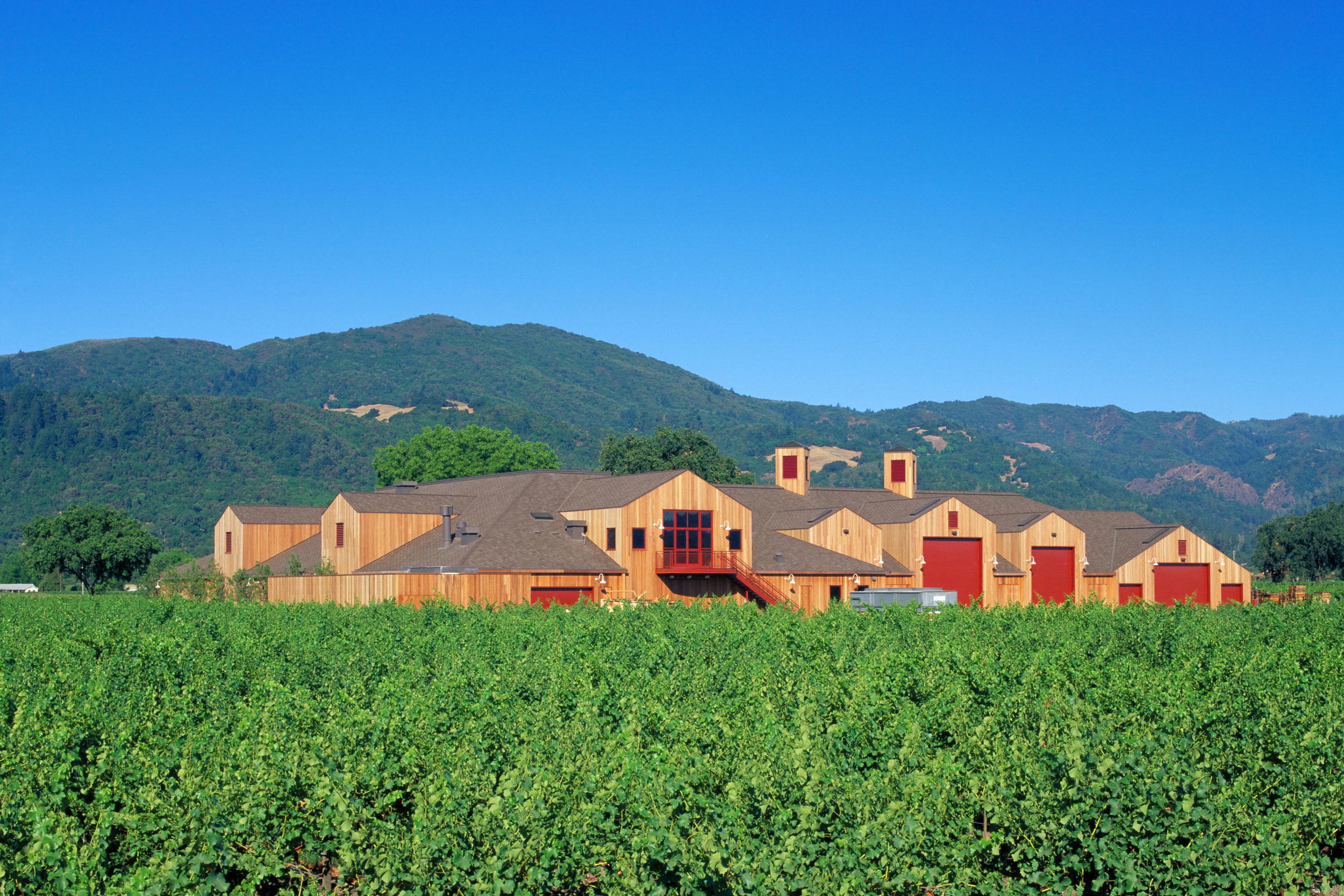 Cakebread Cellars, Rutherford, United States
