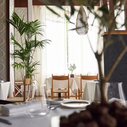 Celia Jiménez restaurant in Córdoba, Spain