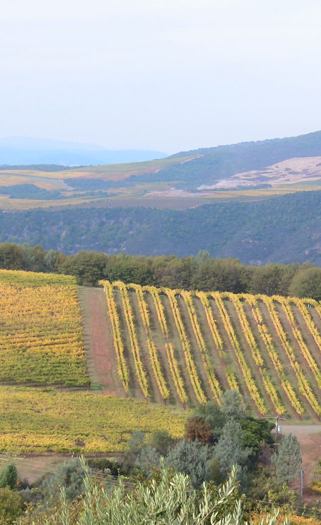Ichita いち太, Restaurant in Tokyo
