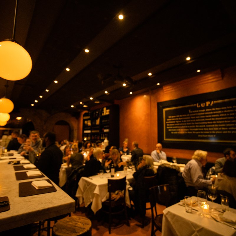 Lupa, Restaurant in New York City