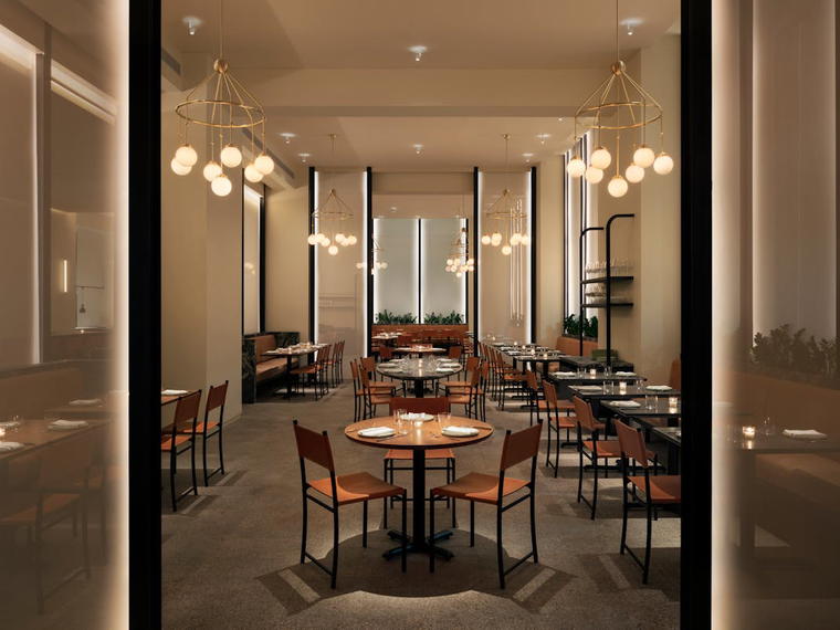 Crown Shy, New York City, United States