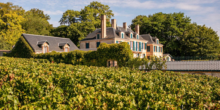 Taittinger, Winery in Reims
