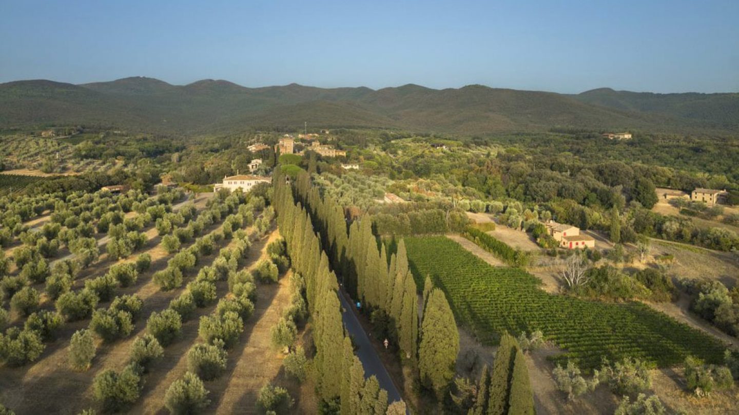 Tenuta dell’Ornellaia, Bolgheri, Italy