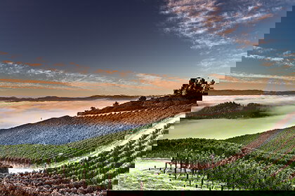 Peter Michael Winery winery in Calistoga, United States