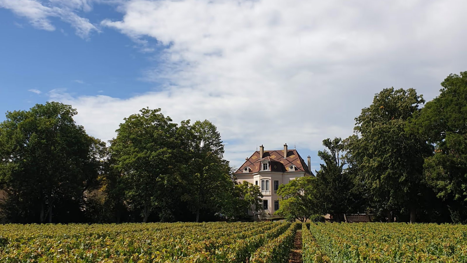 Domaine des Comtes Lafon, Meursault, France