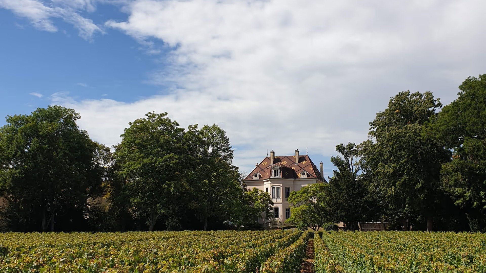 Domaine des Comtes Lafon