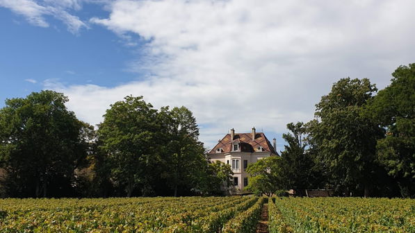 Domaine des Comtes Lafon