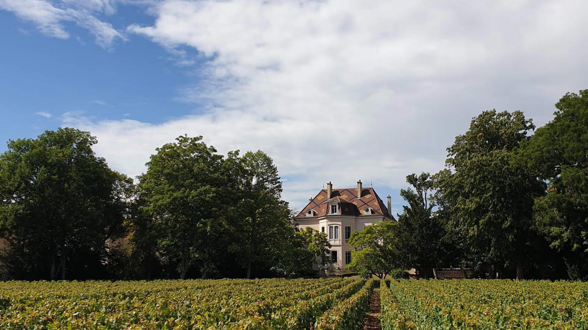 Domaine des Comtes Lafon, Meursault, France
