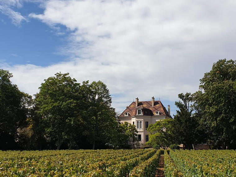 Domaine des Comtes Lafon, Meursault, France