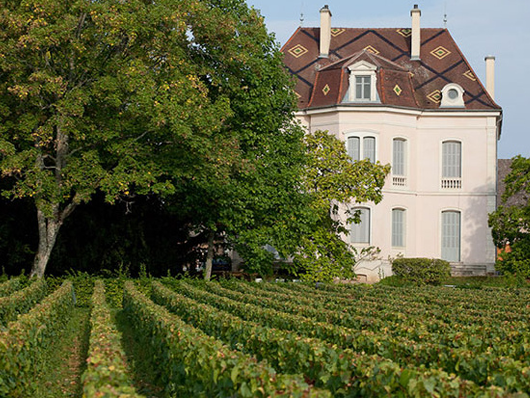 Domaine des Comtes Lafon, Meursault, France