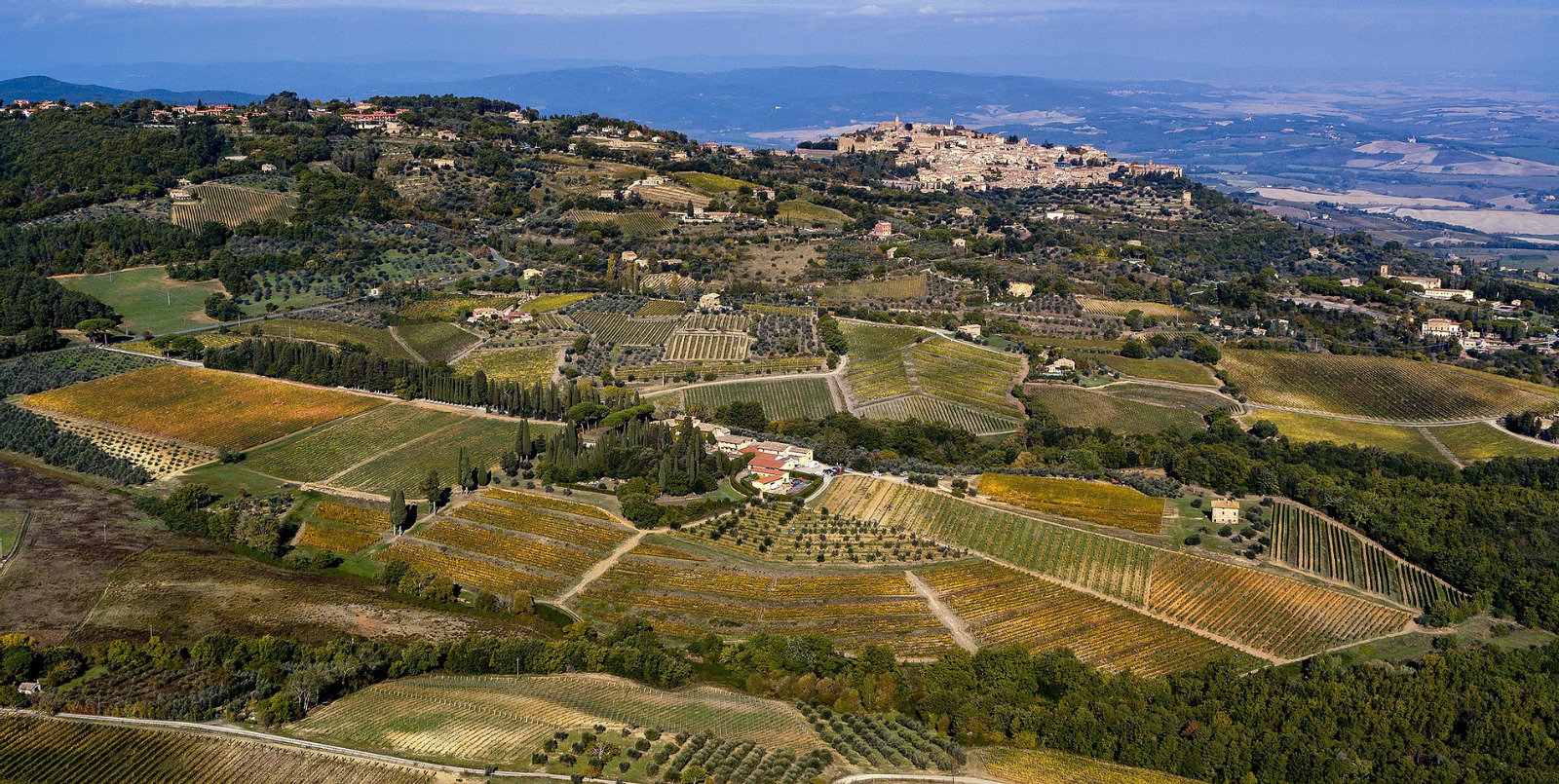 Biondi-Santi Tenuta Greppo