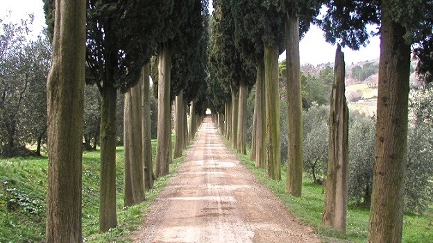 Biondi-Santi Tenuta Greppo, Montalcino, Italy