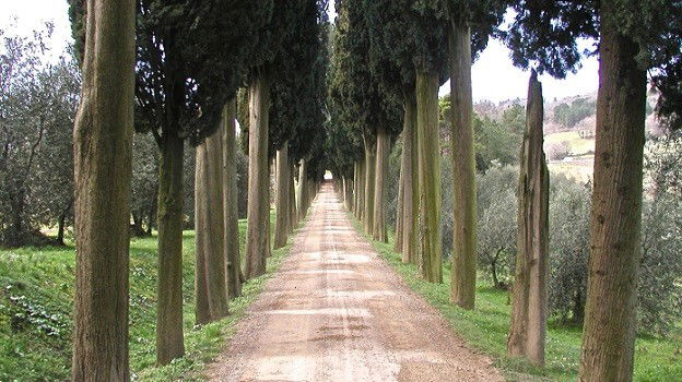 Biondi-Santi Tenuta Greppo winery in Montalcino