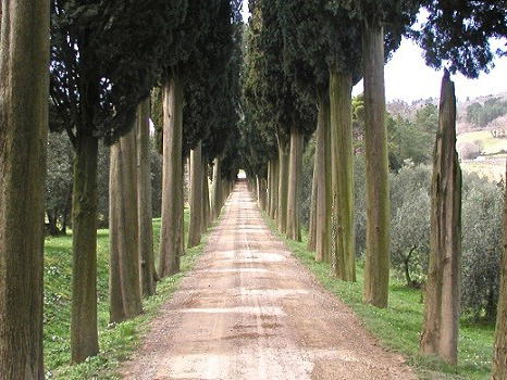 Biondi-Santi Tenuta Greppo, Montalcino, Italy