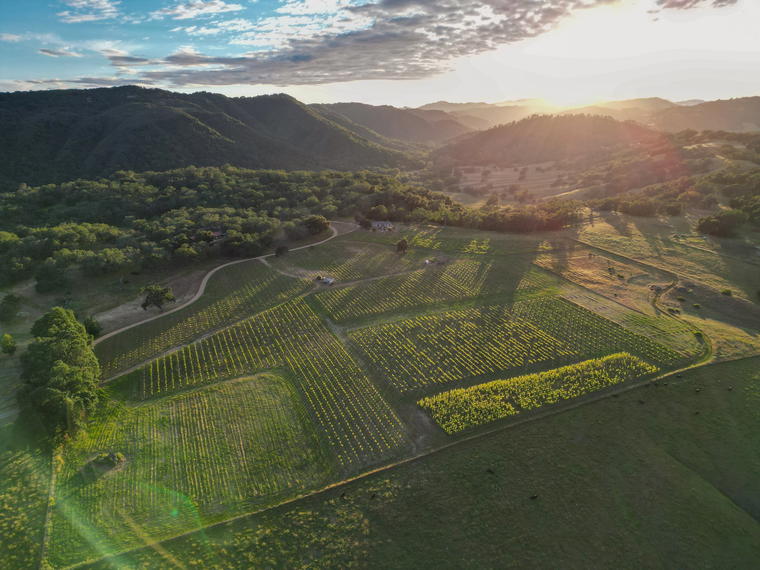 Ledge Vineyards, Paso Robles, United States