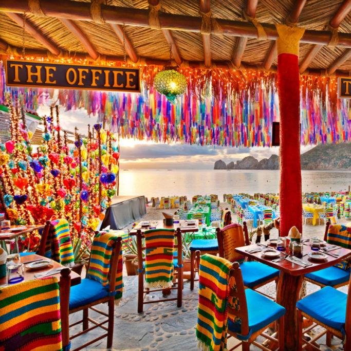 Flora's Field Kitchen, Restaurant in San José del Cabo