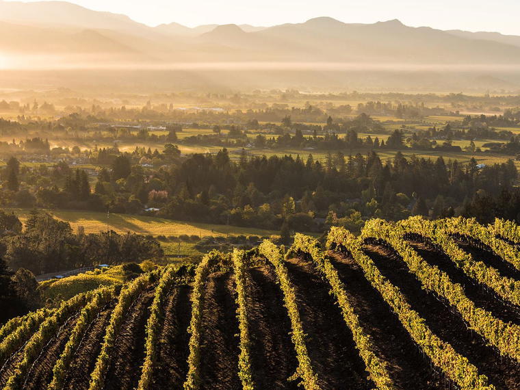 Newton Vineyard, Calistoga, United States