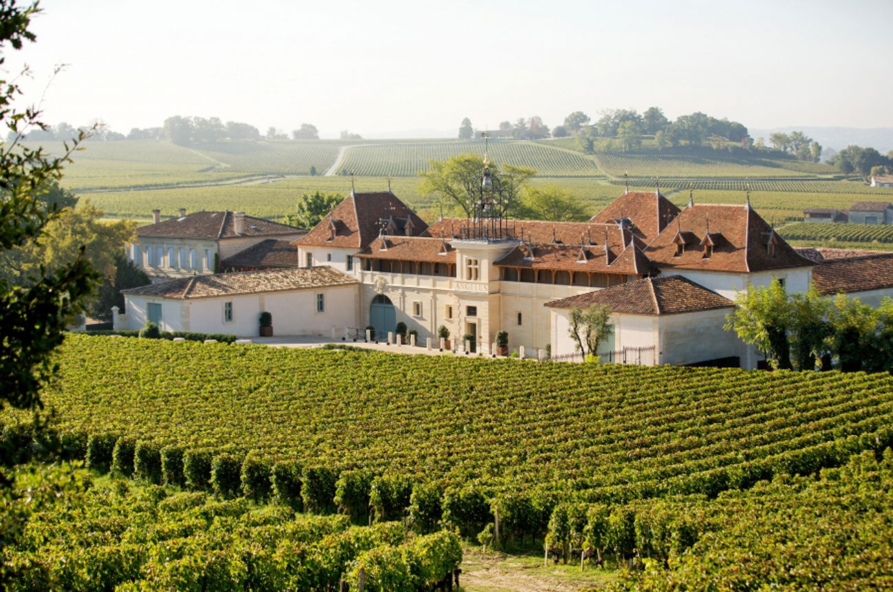 Château Angelus, Winery in Saint-Emilion