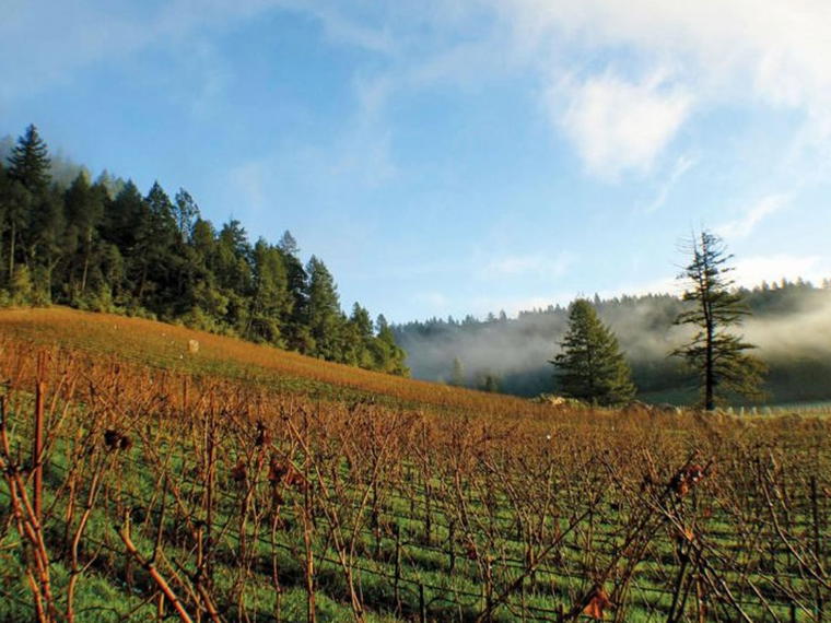 Hundred Acre, Napa, United States