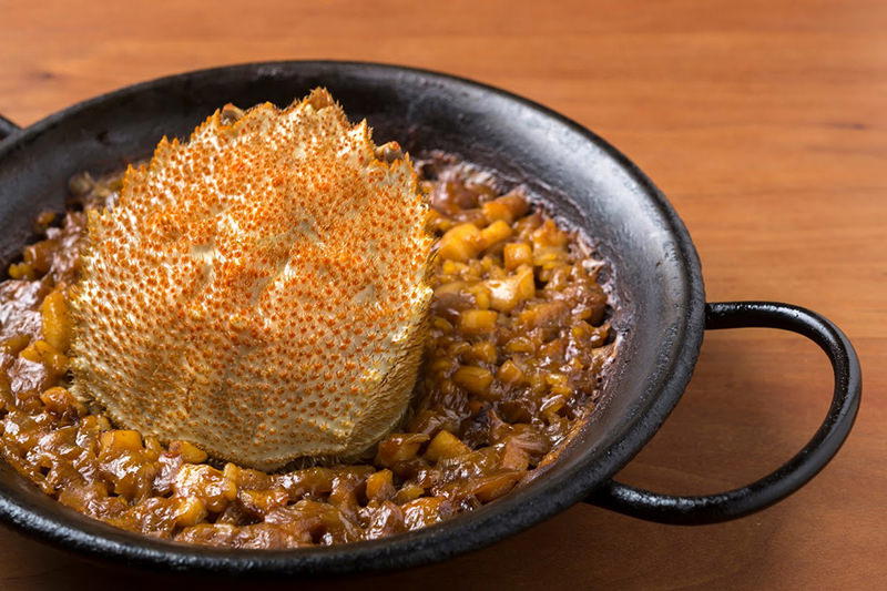 Aca 1°, Kyoto, Japan