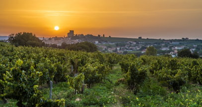 Domaine du Vieux Télégraphe winery in Bédarrides