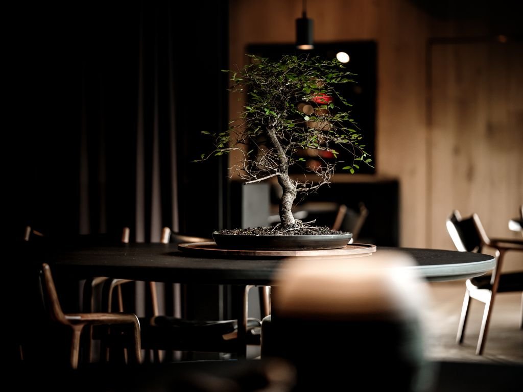 Cuchara, Restaurant in Lommel