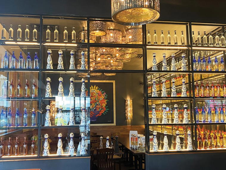 Gorkhali Kitchen, Tampa, United States