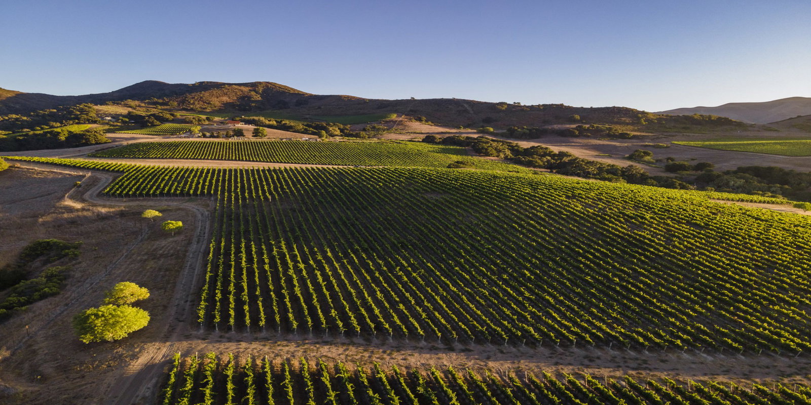 Gainey Vineyard, Santa Ynez, United States