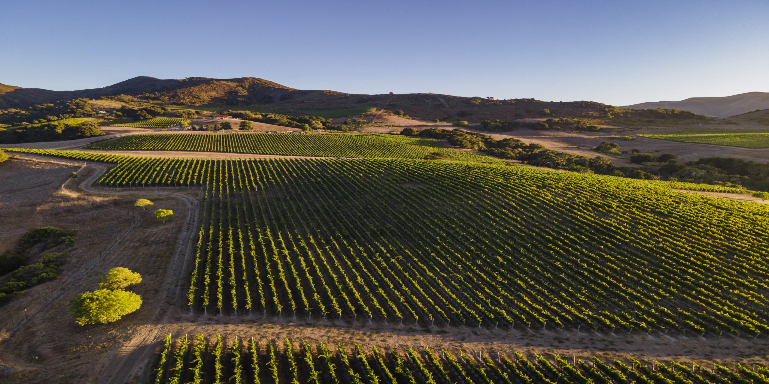 Gainey Vineyard winery in Santa Ynez, United States