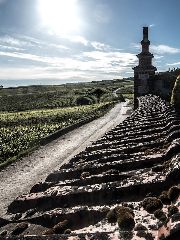 Bérêche et Fils winery in Vaudemange, France