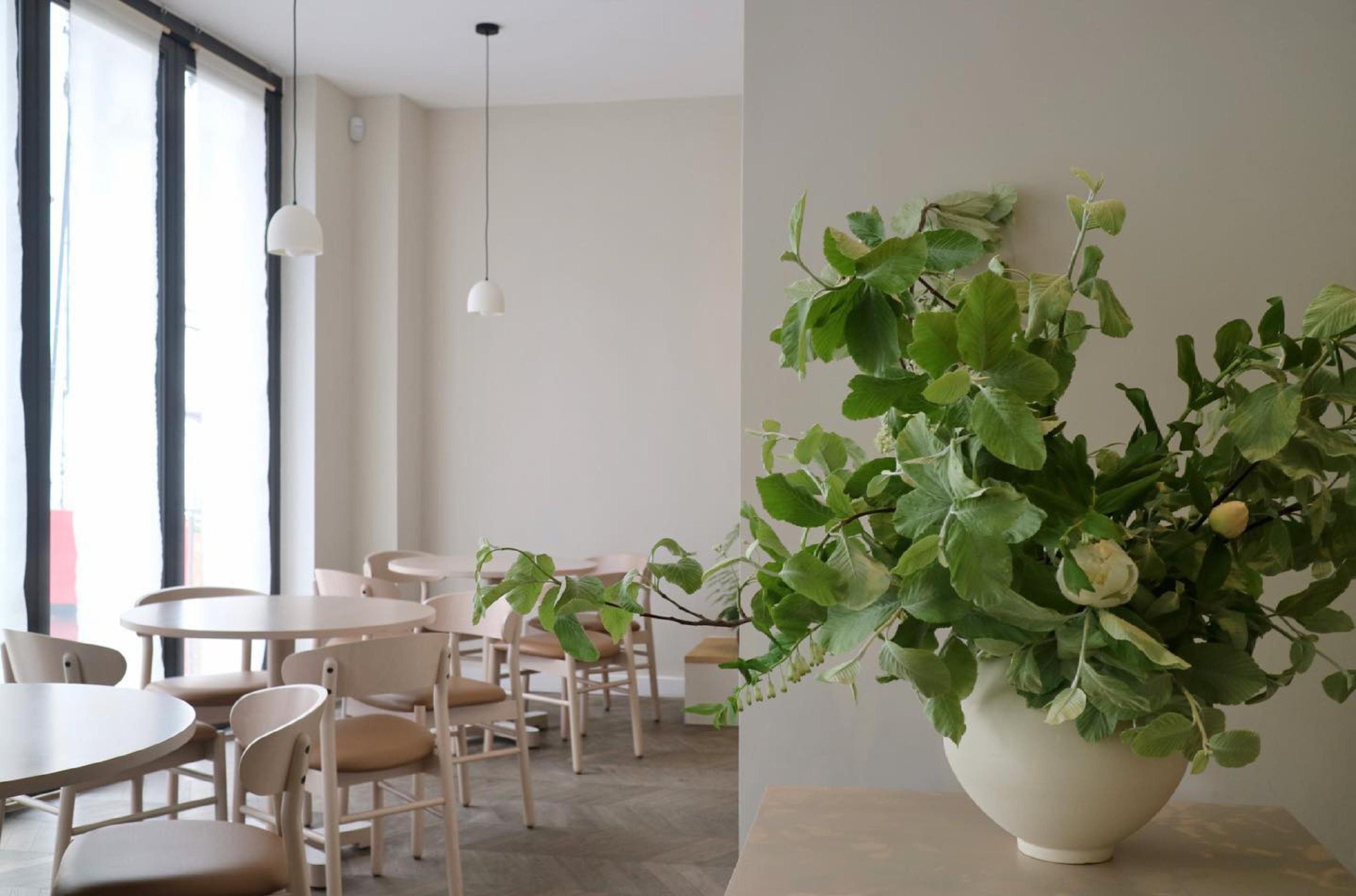 Sollip restaurant in London