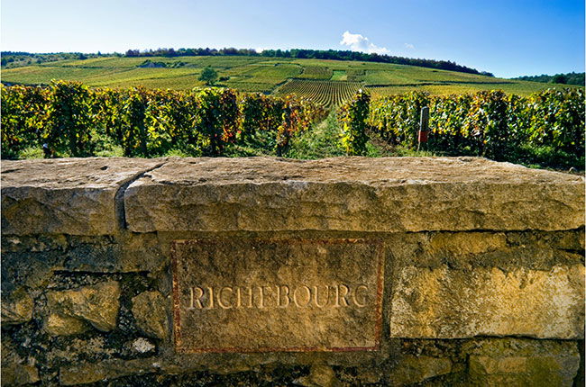 Domaine Jean Grivot, Winery in Vosne-Romanée