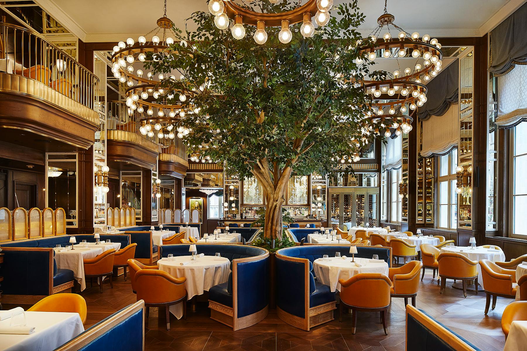 Café Carmellini restaurant in New York City, United States