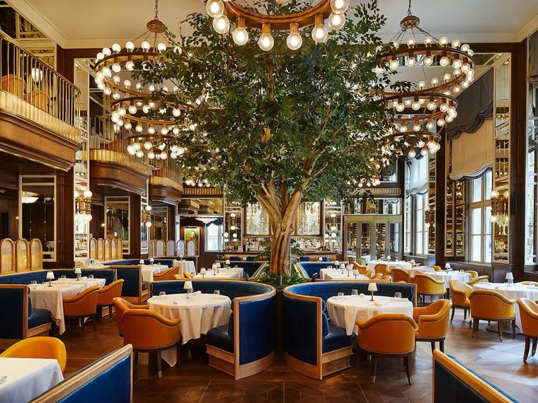 Café Carmellini, New York City, United States