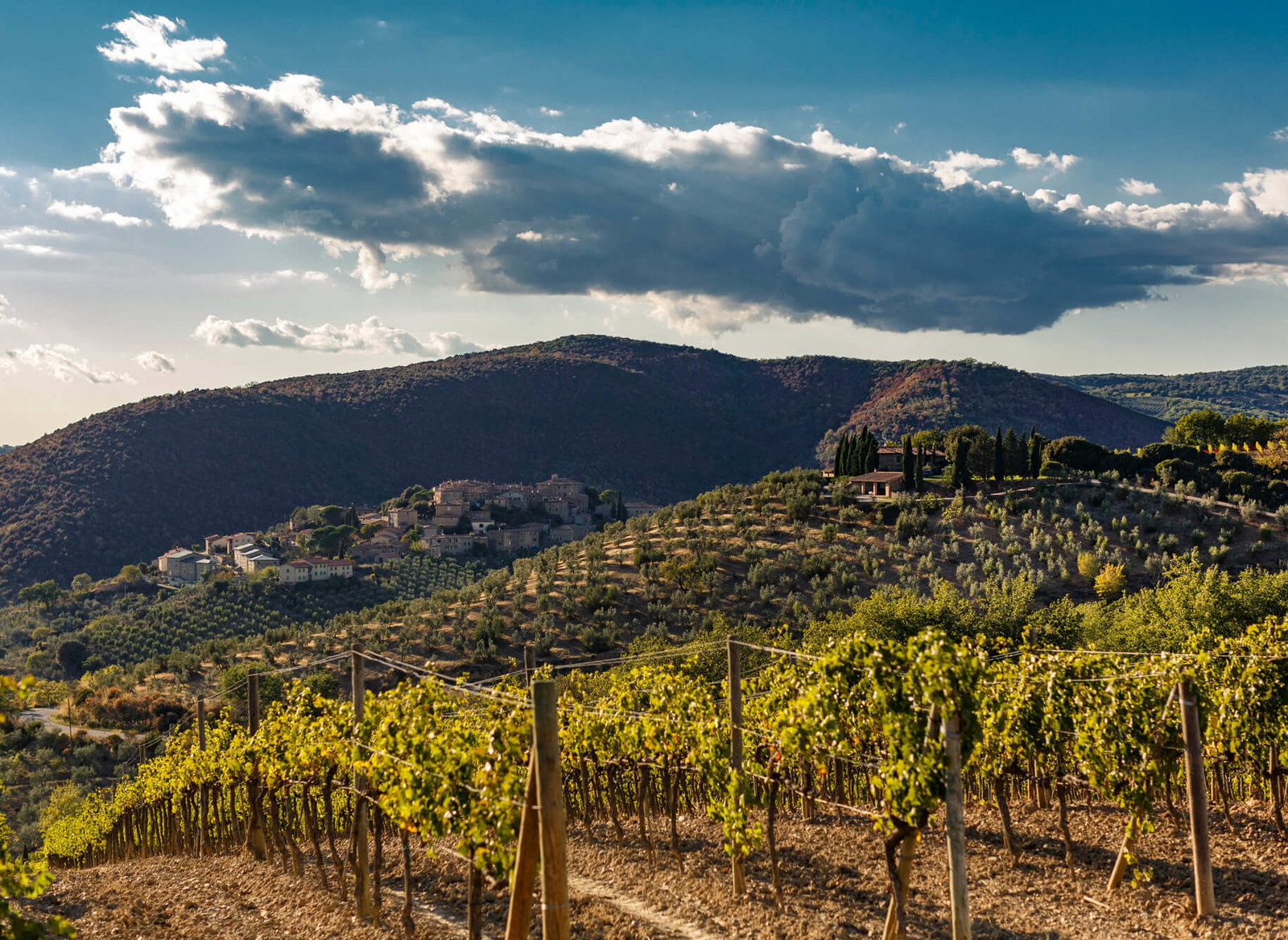 Poggio di Sotto, Montalcino, Italy