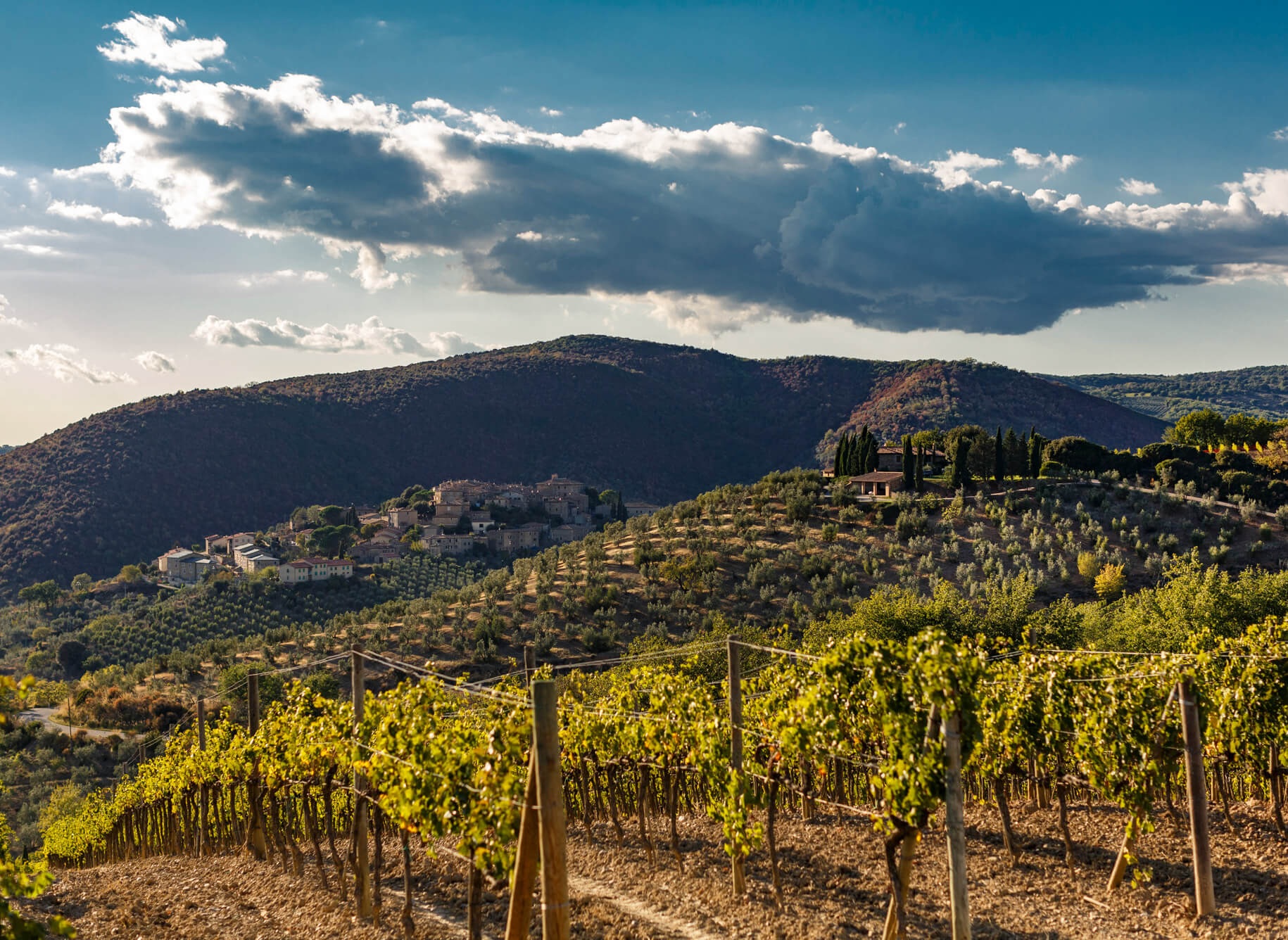 Poggio di Sotto, Montalcino, Italy